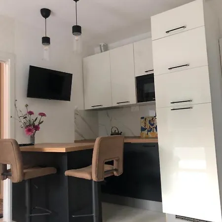 Lena 公寓 Čižići